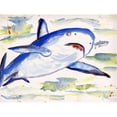thumbnail image 1 of Betsy Drake DM213 Sharks Doormat 18 x 26, 1 of 1
