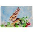 thumbnail image 1 of Betsy Drake DM816 Jack Rabbit Left Door Mat - 18 x 26 in., 1 of 2