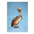 thumbnail image 1 of Betsy Drake Interiors Pelican Head Flag 12.5x18, 1 of 2
