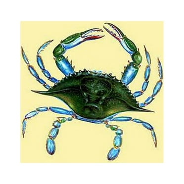 Betsy Drake  Female Blue Crab Yellow 28-inch x 40-inch Flag