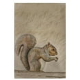 thumbnail image 1 of Betsy Drake GT314 Squirrel Guest Towel - 20 x 20 in., 1 of 2