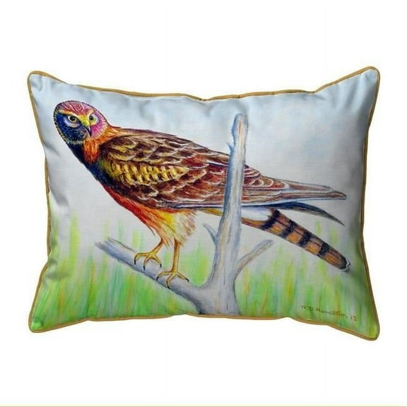 Betsy Drake HJ1034 16 x 20 in. Marsh Hawk Large Indoor & Outdoor Pillow
