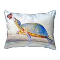 thumbnail image 1 of Betsy Drake HJ1067 16 x 20 in. Communicating Large Corded Indoor & Outdoor Pillow, 1 of 2
