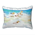 thumbnail image 1 of Betsy Drake HJ1090 16 x 20 in. Five Sanderlings Large Corded Indoor & Outdoor Pillow, 1 of 3