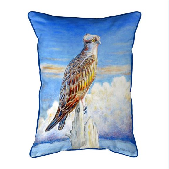Betsy Drake HJ1109 16 x 20 in. Osprey Storm Large Indoor & Outdoor Pillow