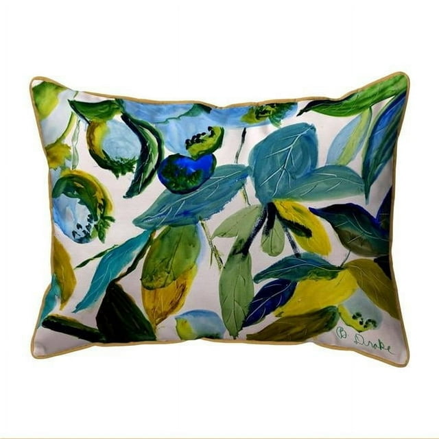Betsy Drake HJ1158 16 x 20 in. Blueberries Indoor & Outdoor Pillow, Large