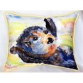 thumbnail image 1 of Betsy Drake HJ210 Otter Large Indoor & Outdoor Pillow 16 x 20, 1 of 1