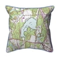 thumbnail image 1 of Betsy Drake HJ469 18 x 18 in. Alexanders Lake, CT Nautical Map Large Corded Indoor & Outdoor Pillow, 1 of 3
