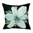 thumbnail image 1 of Betsy Drake HJ704 Casablanca Lily Throw Pillow- 18 x 18 in., 1 of 4
