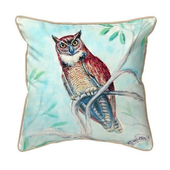 Betsy Drake HJ732 18 x 18 in. Owl in Teal Large Indoor & Outdoor Pillow