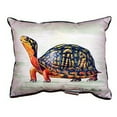 thumbnail image 1 of Betsy Drake Happy Turtle Large Indoor/ Outdoor Throw Pillow, 1 of 3