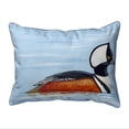 thumbnail image 1 of Betsy Drake Hooded Merganser Duck Print Zippered Throw Pillow, 1 of 2