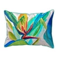 thumbnail image 1 of Betsy Drake Interiors Bird of Paradise Large Indoor/Outdoor Pillow 16x20, 1 of 1
