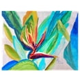 thumbnail image 1 of Betsy Drake Interiors Bird of Paradise Place Mat Set of 4, 1 of 1