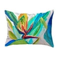thumbnail image 1 of Betsy Drake Interiors Bird of Paradise Small Noncorded Pillow 11x14, 1 of 1