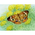 thumbnail image 1 of Buckeye Butterfly Door Mat 18x26, 1 of 2