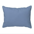 thumbnail image 1 of Betsy Drake Buried Treasure Extra Large Zippered Indoor/Outdoor Pillow 20x24, 1 of 1