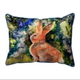thumbnail image 1 of Betsy Drake Interiors Cottontail Rabbit 11x14 Small Indoor/Outdoor Pillow, 1 of 2