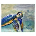 thumbnail image 1 of Betsy Drake Interiors Four Racing II Extra Large Zippered Pillow Cover Only (No Insert) 20x24, 1 of 2