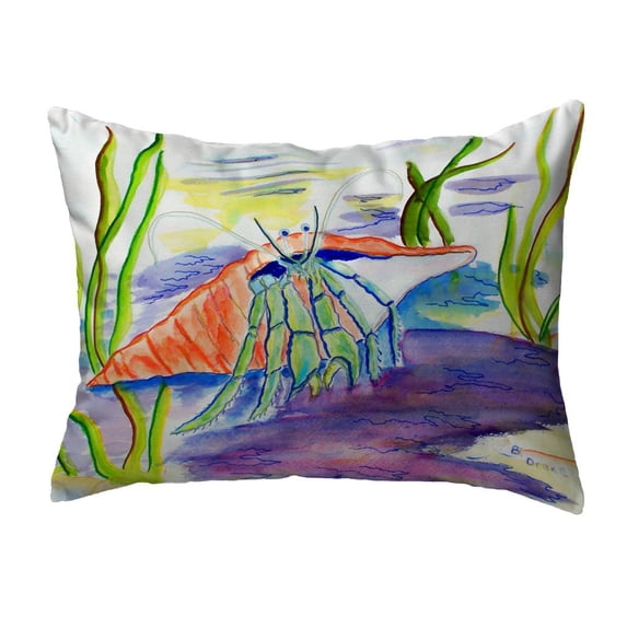 Hermit Crab No Cord Pillow 16x20