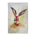 thumbnail image 1 of Jack Rabbit Kitchen Towel - 16x25, 1 of 1