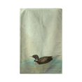 Betsy Drake Interiors Loon Beach Towel - Walmart.com