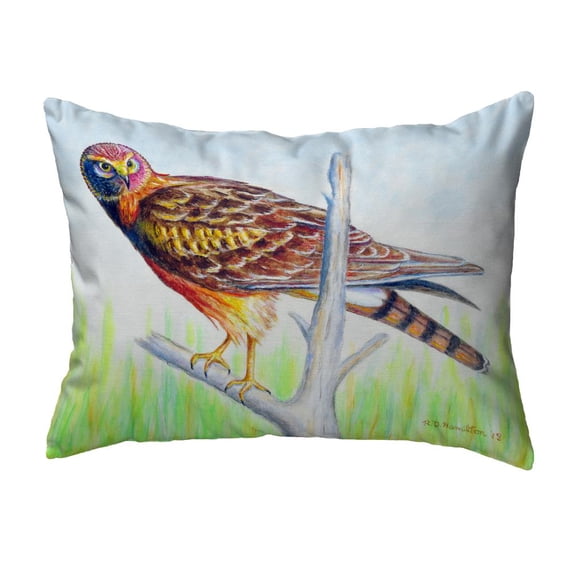 Betsy Drake Interiors Marsh Hawk Noncorded Indoor/Outdoor Pillow 16x20