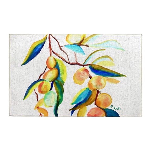 Betsy Drake Interiors DR1534 Peaches II Indoor Dornier Area Rug 20x32