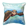thumbnail image 1 of Betsy Drake Interiors Turtle Looking At Me Extra Large Zippered Pillow 22x22, 1 of 1