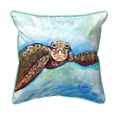 thumbnail image 1 of Betsy Drake Interiors Turtle Looking At Me Large Indoor/Outdoor Pillow 18x18, 1 of 3