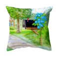 thumbnail image 1 of Betsy Drake KS1005 12 x 12 in. Glorious Morning Non-Corded Indoor & Outdoor Pillow, 1 of 1