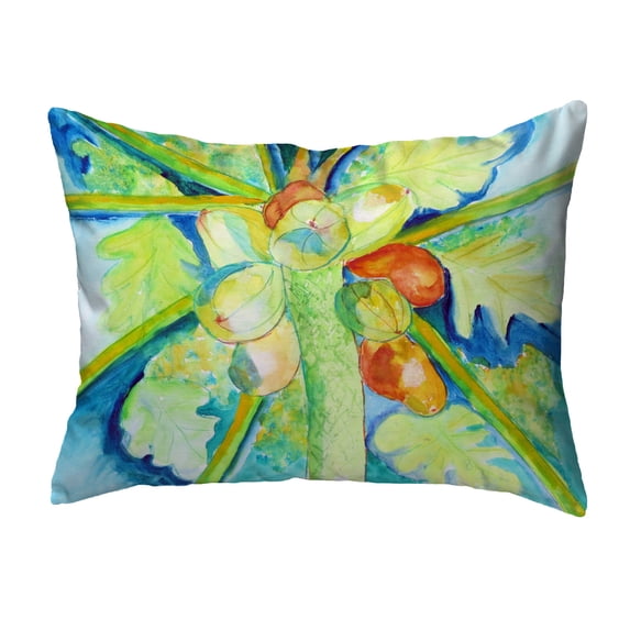 Betsy Drake KS1100 11 x 14 in. Big Cocoa Nuts Non-Corded Indoor & Outdoor Pillow