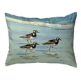 thumbnail image 1 of Betsy Drake Interiors Ruddy Turnstones Small Noncorded Pillow 11x14, 1 of 2
