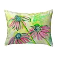 thumbnail image 1 of Betsy Drake KS195 11 x 14 in. Cone Flowers Small No-Cord Pillow, 1 of 1