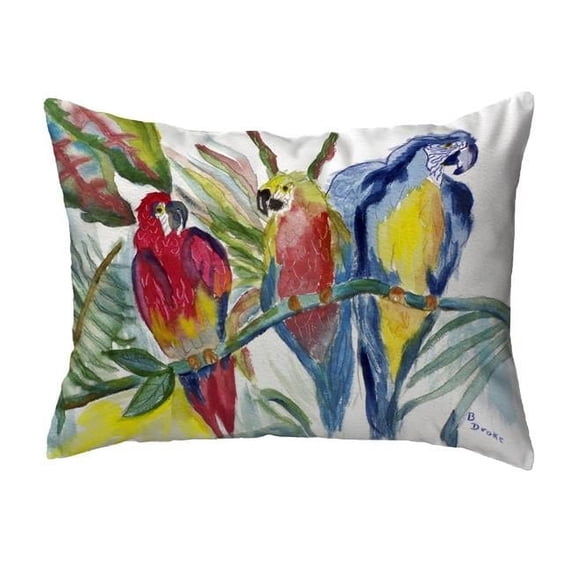 Betsy Drake KS217 11 x 14 in. Parrot Family Small No-Cord Pillow