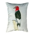 thumbnail image 1 of Betsy Drake KS310 11 x 14 in. Redheaded Woodpecker Small No-Cord Pillow, 1 of 1