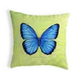 thumbnail image 1 of Betsy Drake KS348 12 x 12 in. Dicks Blue Morpho Small No-Cord Pillow, 1 of 2