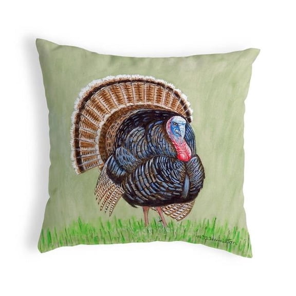 Betsy Drake KS512 12 x 12 in. Wild Turkey Small No-Cord Pillow