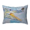 thumbnail image 1 of Betsy Drake KS548 11 x 14 in. Croc & Butterfly Small No-Cord Indoor & Outdoor Pillow, 1 of 1