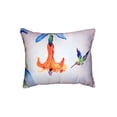 thumbnail image 1 of Betsy Drake KS639 11 x 14 in. Hummingbird & Trumpet Vine Small No-Cord Pillow, 1 of 1