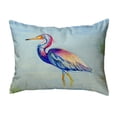thumbnail image 1 of Betsy Drake KS756 11 x 14 in. Tri-Colored Heron Non-Corded Indoor & Outdoor Pillow, 1 of 1