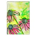 thumbnail image 1 of Betsy Drake KT195 Cone Flowers Kitchen Towel, 1 of 1