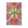 thumbnail image 1 of Betsy Drake KT701 Pink Lily Kitchen Towel, 1 of 1