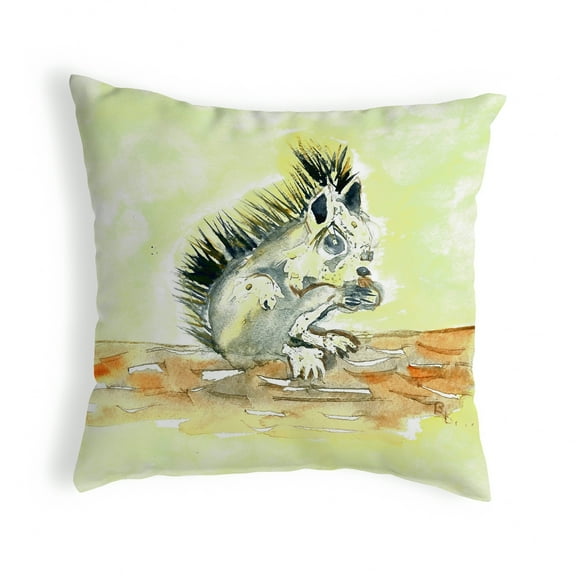 Betsy Drake NC059 18 x 18 in. Baby Squirrel Noncorded Pillow