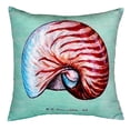 thumbnail image 1 of Betsy Drake NC118C 18 x 18 in. Nautilus Shell Teal No Cord Pillow, 1 of 3