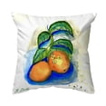 thumbnail image 1 of Betsy Drake NC1206 18 x 18 in. Two Oranges Noncorded Pillow - Large, 1 of 2