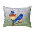 thumbnail image 1 of Betsy Drake NC1345 16 x 20 in. Two Blue Birds No Cord Pillow, 1 of 1