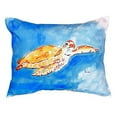 thumbnail image 1 of Betsy Drake NC156 16 x 20 in. Brown Sea Turtle No Cord Pillow, 1 of 3