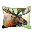 thumbnail image 1 of Betsy Drake NC238 16 x 20 in. Moose No Cord Pillow, 1 of 3