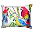 thumbnail image 1 of Betsy Drake NC392 16 x 20 in. Three Parrots No Cord Pillow, 1 of 1